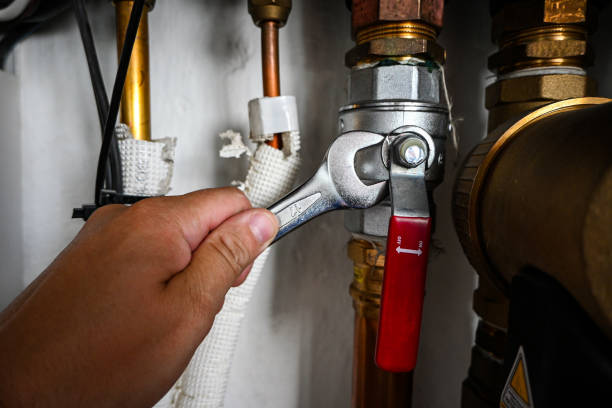 Best Shower Repair Services  in Princess Anne, MD